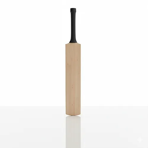 cricketbat-back cricketbat-back