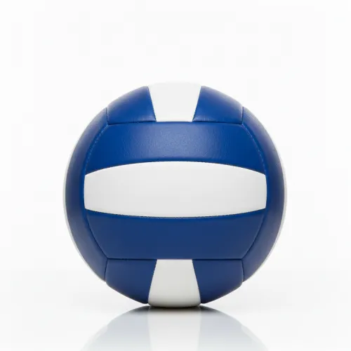 volley-ball-back volley-ball-back